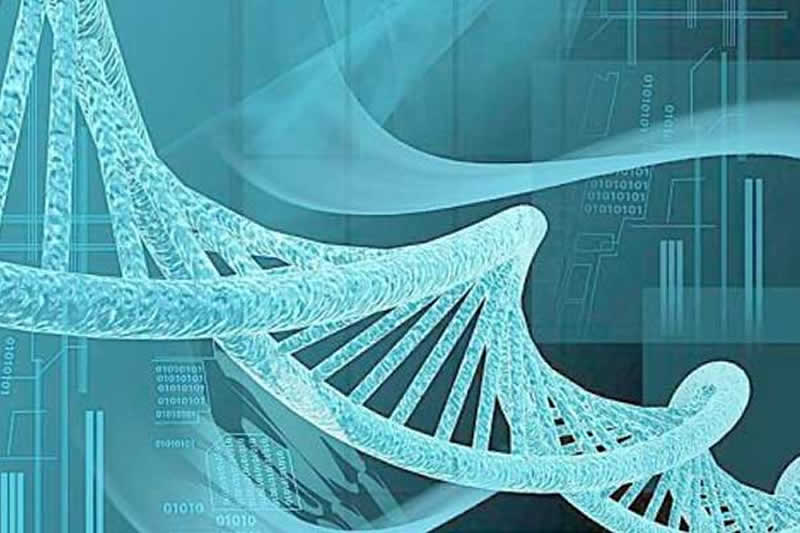 第二代试管婴儿(ICSI)费用_流程_适应人群介绍(图1) 第二代试管婴儿(ICSI)费用_流程_适应人群介绍(图1)