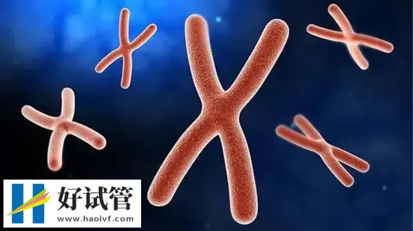 三代试管能筛查哪4类遗传病(图1) 三代试管能筛查哪4类遗传病(图1)