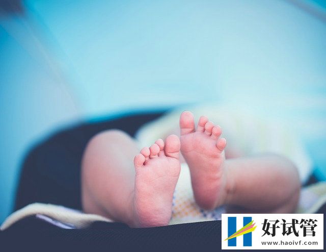 天津三胎试管婴儿费用(图1) 天津三胎试管婴儿费用(图1)