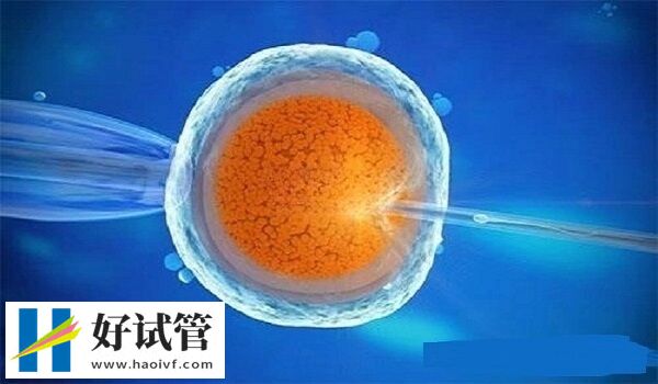 43岁失独家庭的试管婴儿成功率多少(图1) 43岁失独家庭的试管婴儿成功率多少(图1)