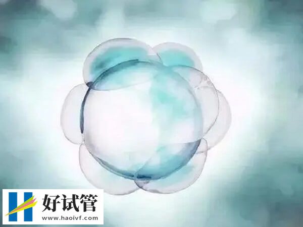 试管婴儿胚胎没发育是什么原因(图1) 试管婴儿胚胎没发育是什么原因(图1)