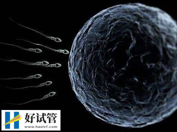 天津开展供精人工授精技术的医院有哪几家?(图1) 天津开展供精人工授精技术的医院有哪几家?(图1)